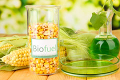 Chilfrome biofuel availability