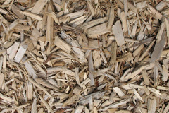 biomass boilers Chilfrome